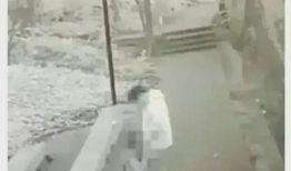 公园里的不雅视频,文明素养亟待提升